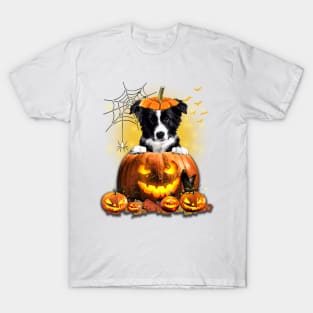 Border Collie Spooky Halloween Pumpkin Dog Head T-Shirt